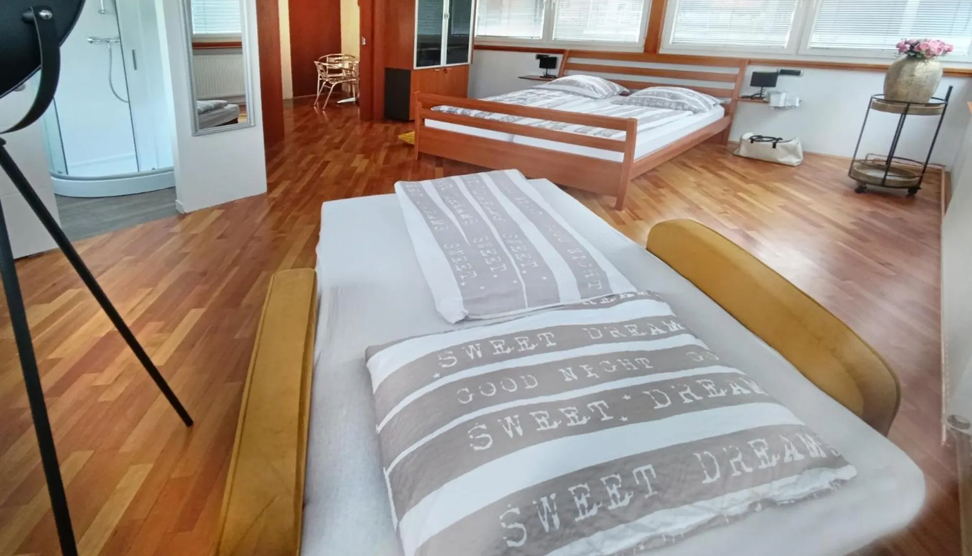 Apartments Katrca Ljubljana Slovenia