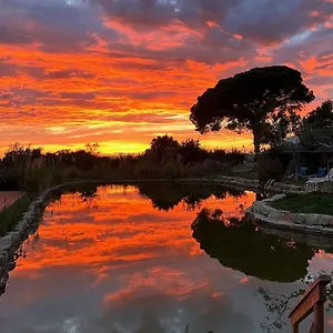 Oasis Camp Portugal Glamping Lagoa (Algarve)